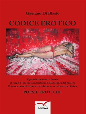 cover image of Codice erotico